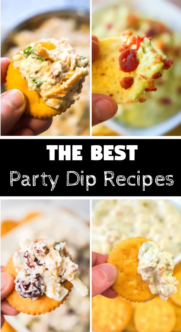 The Best Party Dip Recipes. Easy party dip recipes including Bacon Cheddar Chicken Salad Dip, Bacon Cranberry Walnut Dip, Bacon Cream Cheese Avocado Dip and Bacon & Onion Dip with Herb and Garlic Cream Cheese.