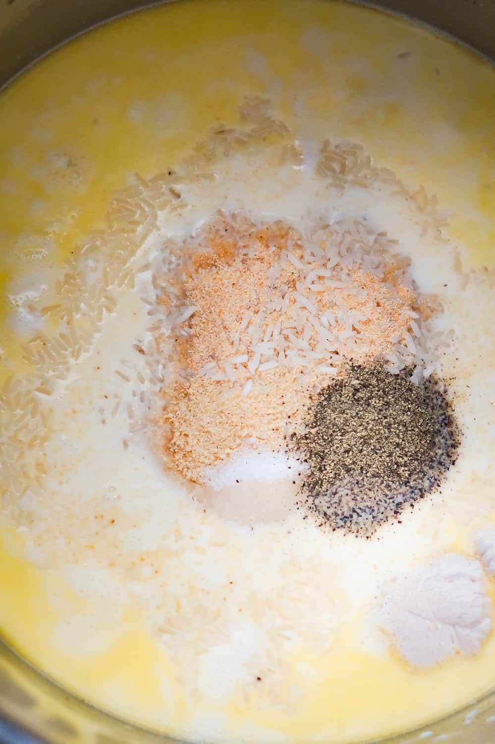 rice, garlic powder, alt and pepper in a creamy liquid in an Instant Pot