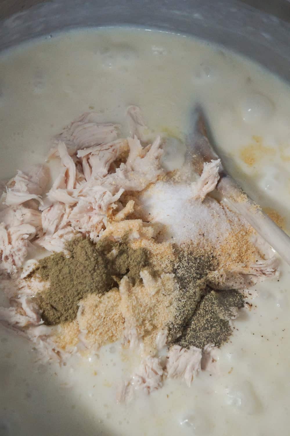 rotisserie chicken, salt, pepper, sage, onion powder and garlic powder added to soup