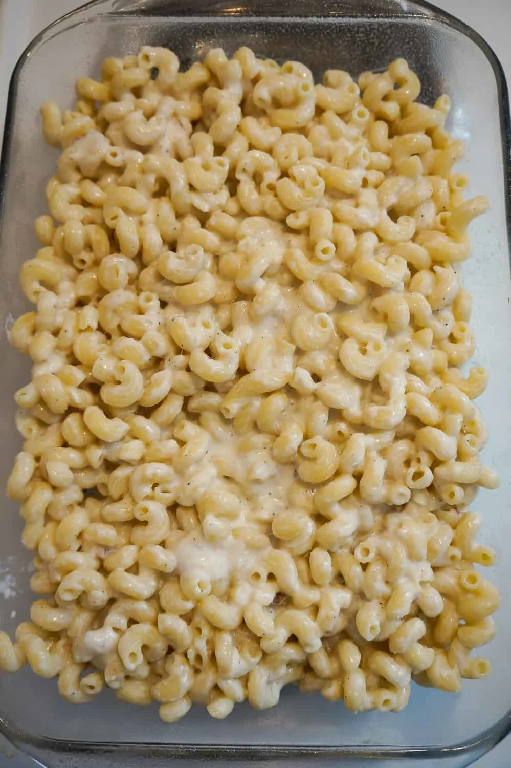 cavatappi pasta with creamy sauce in a baking dish