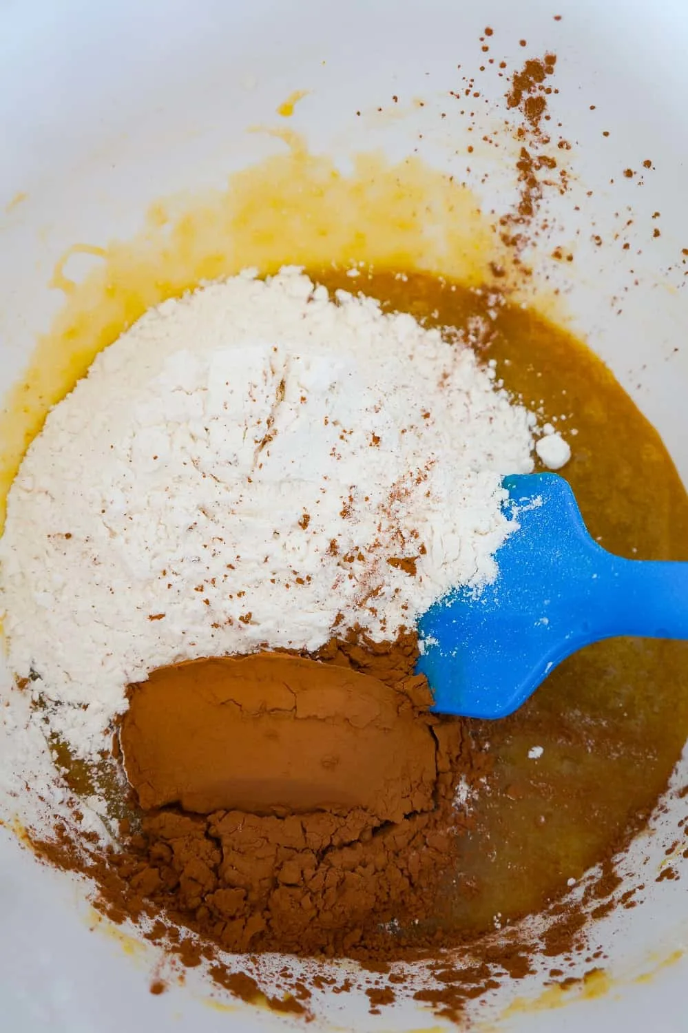 all purpose flour and cocoa powder in a mixing bowl with a creamy sugar and egg mixture