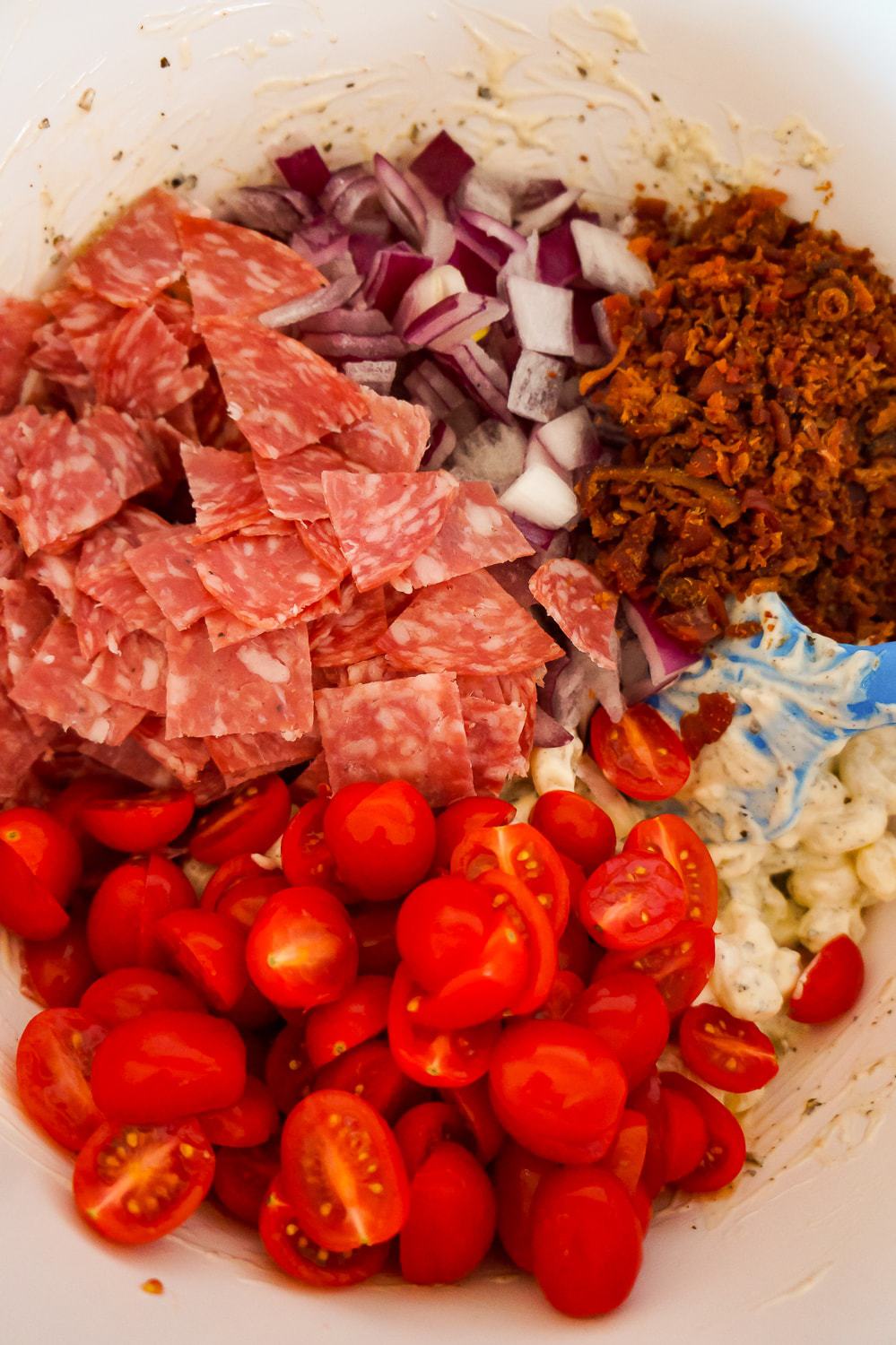 halved cherry tomatoes, chopped salami, diced red onions and real bacon bits on top of pasta