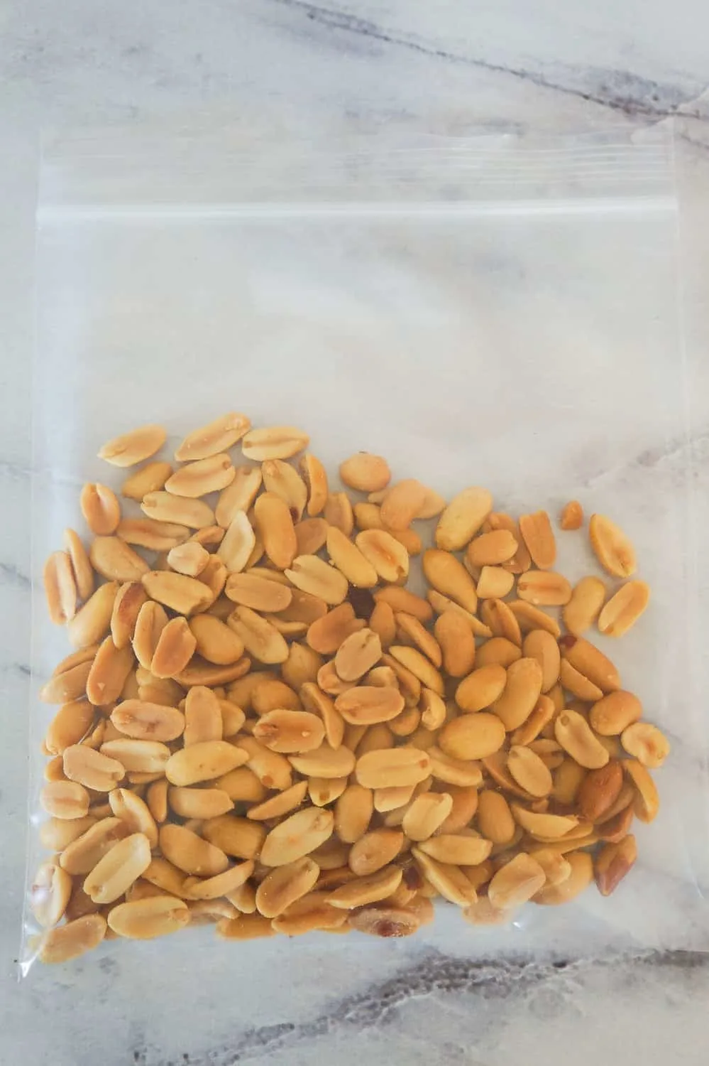 salted peanuts in a Ziploc bag