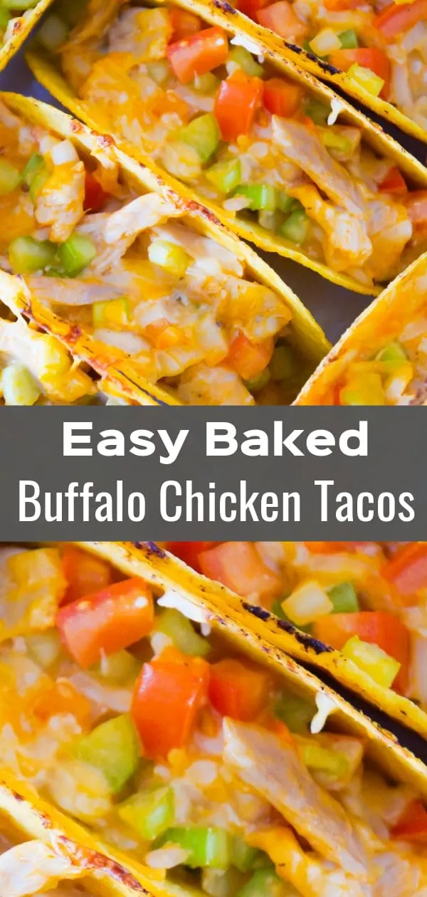 Buffalo Chicken Tacos are an easy dinner recipe using rotisserie chicken. These baked chicken tacos are loaded with buffalo sauce, ranch dressing, celery, tomatoes, onions and cheddar cheese.