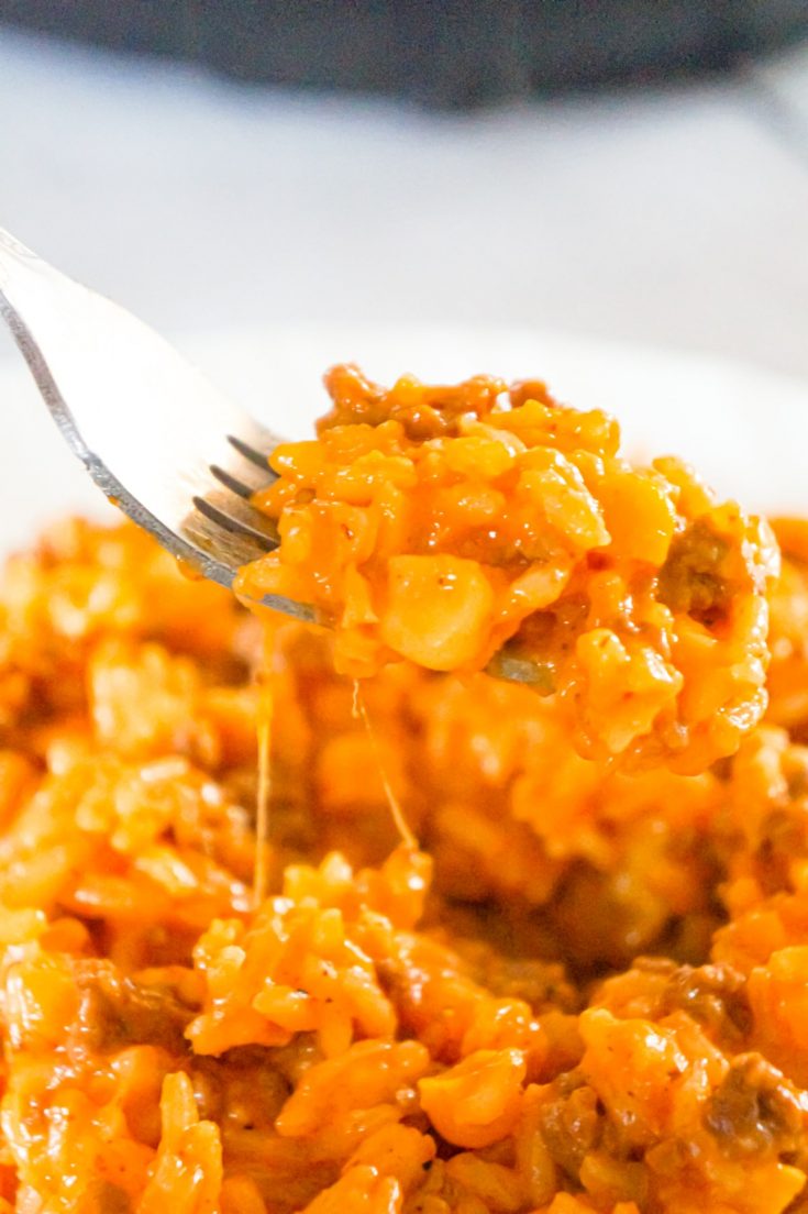 Instant Pot Cheesy Ground Beef and Rice - THIS IS NOT DIET FOOD