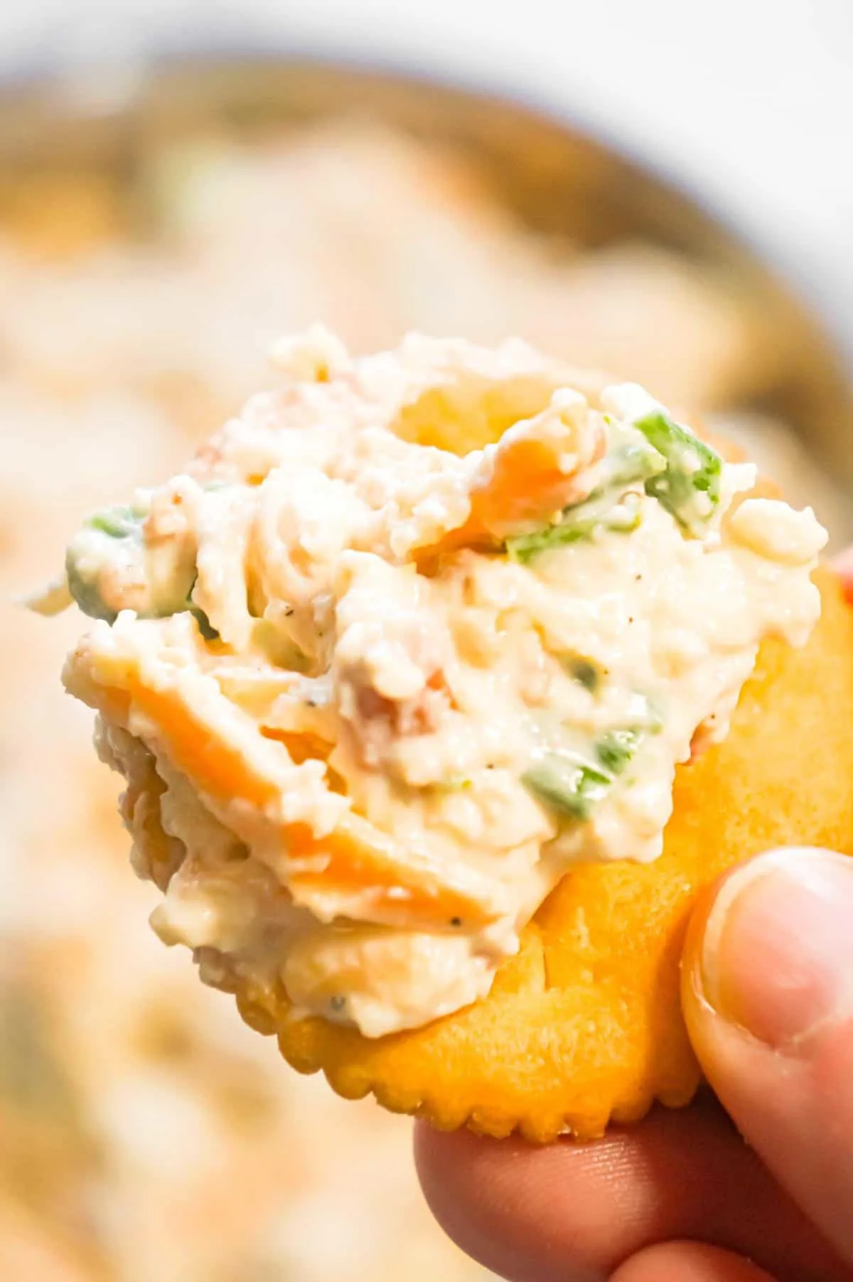 Bacon Cheddar Chicken Salad Dip is a delicious cold dip recipe loaded with mayo, cream cheese, canned chicken, crumbled bacon, chopped green onions and shredded cheddar cheese.