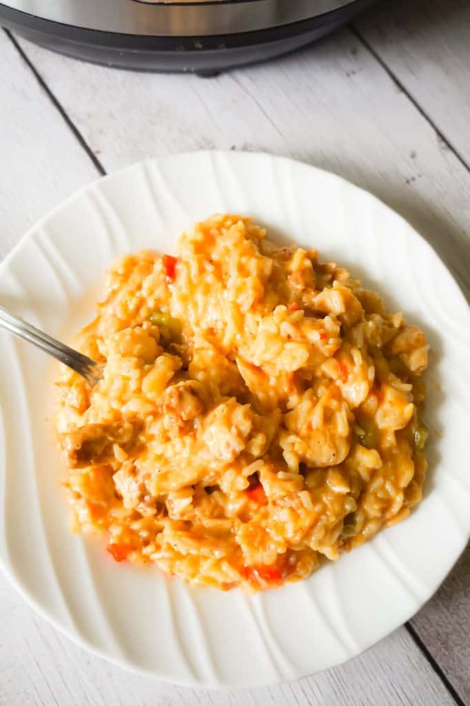 Instant Pot Cheesy Fajita Chicken and Rice THIS IS NOT DIET FOOD