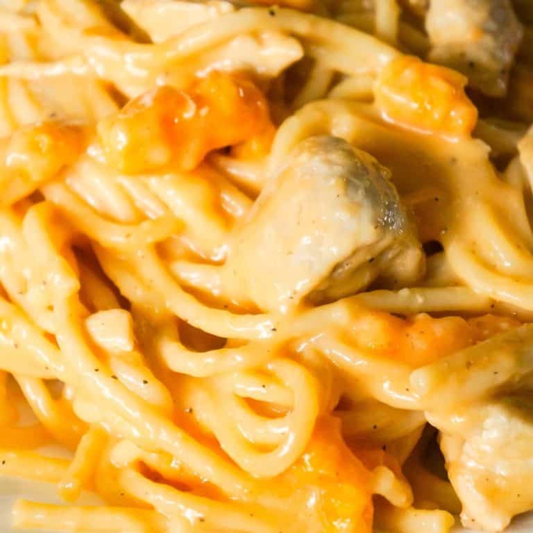 Instant Pot Cheesy Chicken Spaghetti is an easy pressure cooker spaghetti recipe loaded with chicken breast chunks, mozzarella cheese, cheddar cheese and Cheetos.