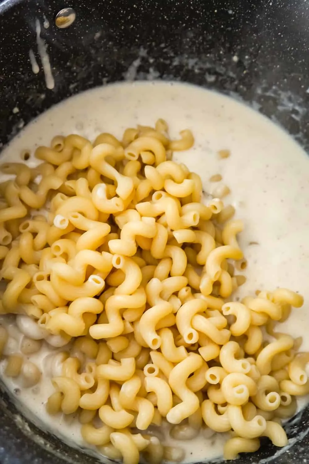 cooked cavatappi noodles on top of cream sauce in a large pot
