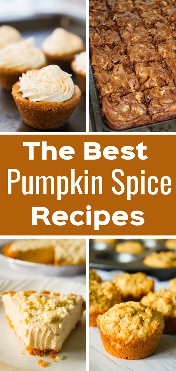 Pumpkin Spice Recipes perfect for fall. Pumpkin Spice Blondies, Pumpkin Spice Sugar Cookies, Gluten Free Pumpkin Spice Cookie Bars, Pumpkin Spice Muffins and Pumpkin Spice Cheesecake.