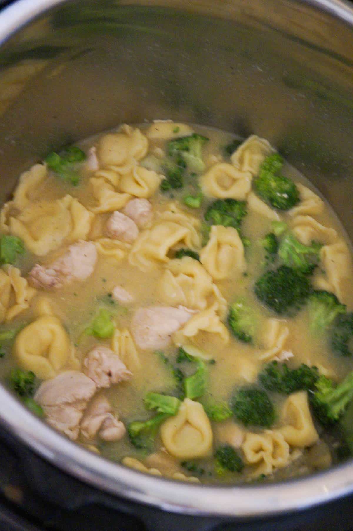 Broccoli florets, chicken breast chunks and tortellini an an Instant Pot