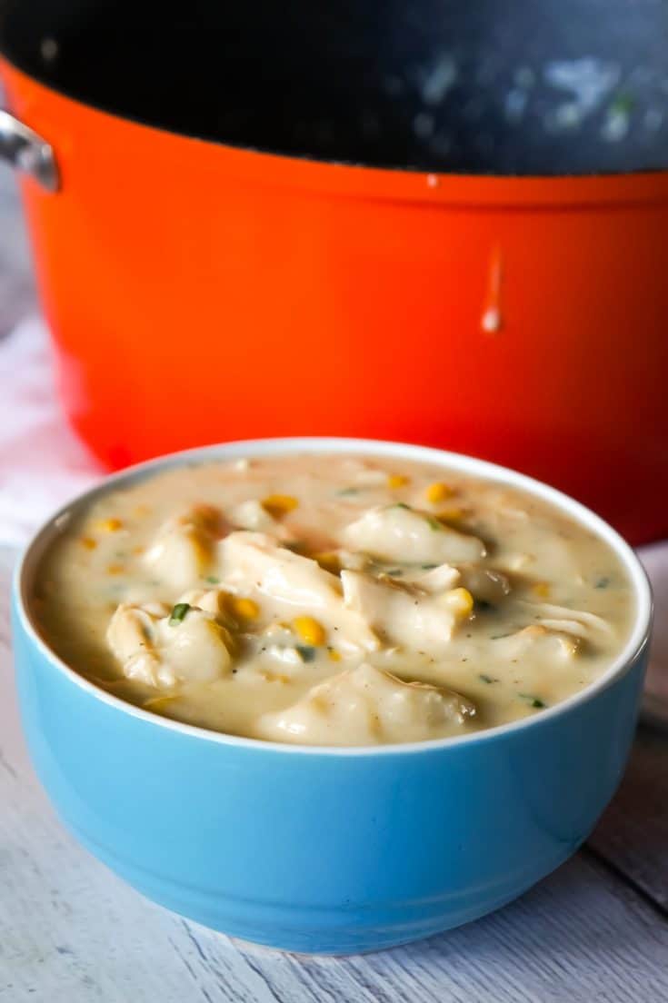 Creamy Turkey Soup with Dumplings THIS IS NOT DIET FOOD