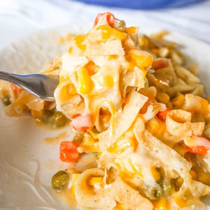 One Pot Chicken Noodle Casserole is a hearty stove top dinner recipe loaded with egg noodles, shredded rotisserie chicken and veggies, topped with cheese and crispy fried Wonton strips.