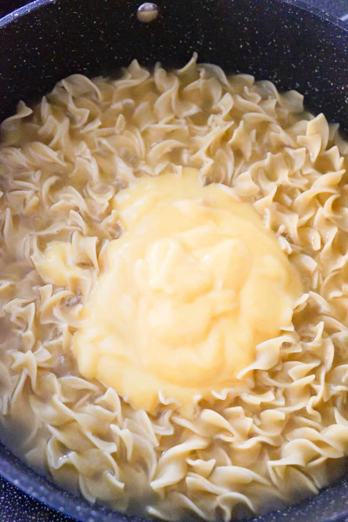 condensed cream of chicken soup on top of egg noodles in a pot