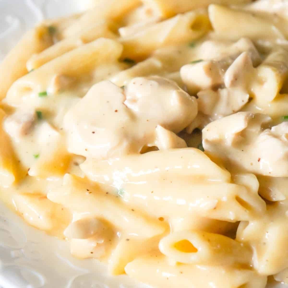 Instant Pot Garlic Parmesan Chicken and Pasta is a delicious pressure cooker pasta recipe loaded with chunks of chicken breast in a creamy Parmesan cheese sauce.