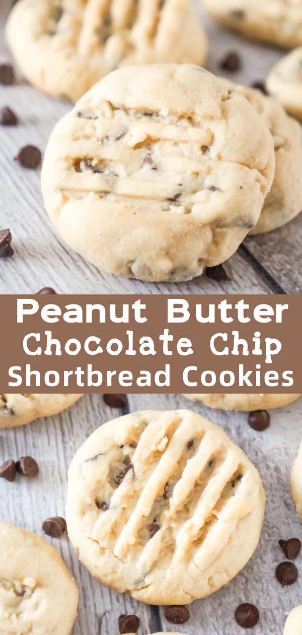 Peanut Butter Chocolate Chip Shortbread Cookies are delicious whipped shortbread cookies loaded with smooth peanut butter and mini chocolate chips.