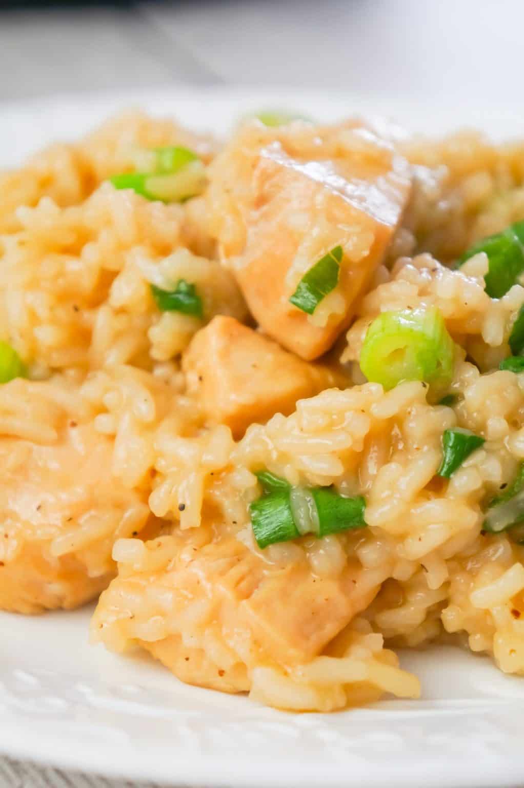 Instant Pot Honey Garlic Chicken and Rice THIS IS NOT DIET FOOD