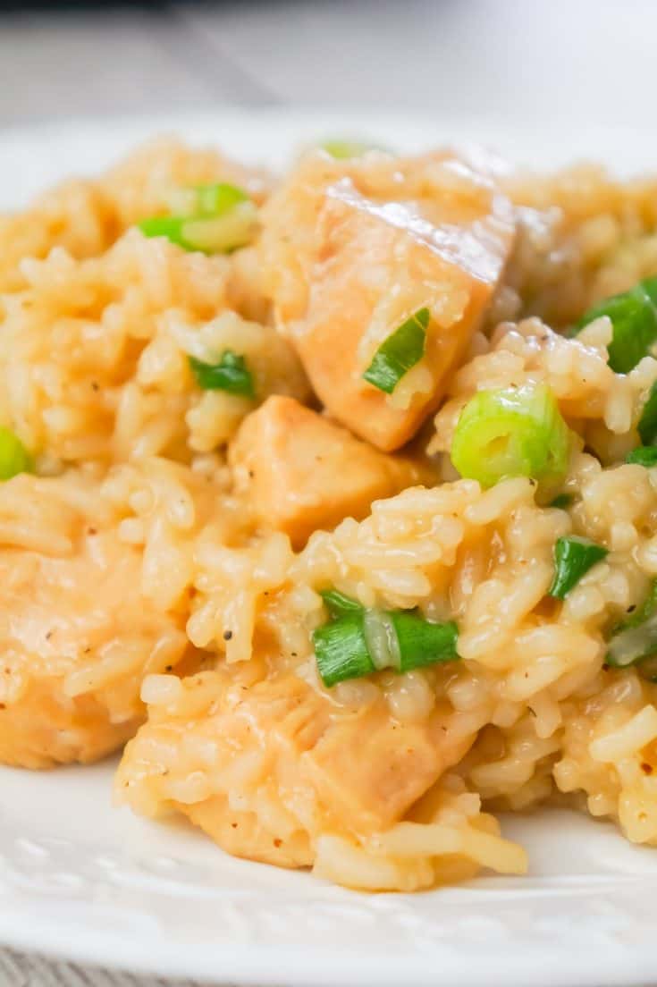 Instant Pot Honey Garlic Chicken and Rice THIS IS NOT DIET FOOD