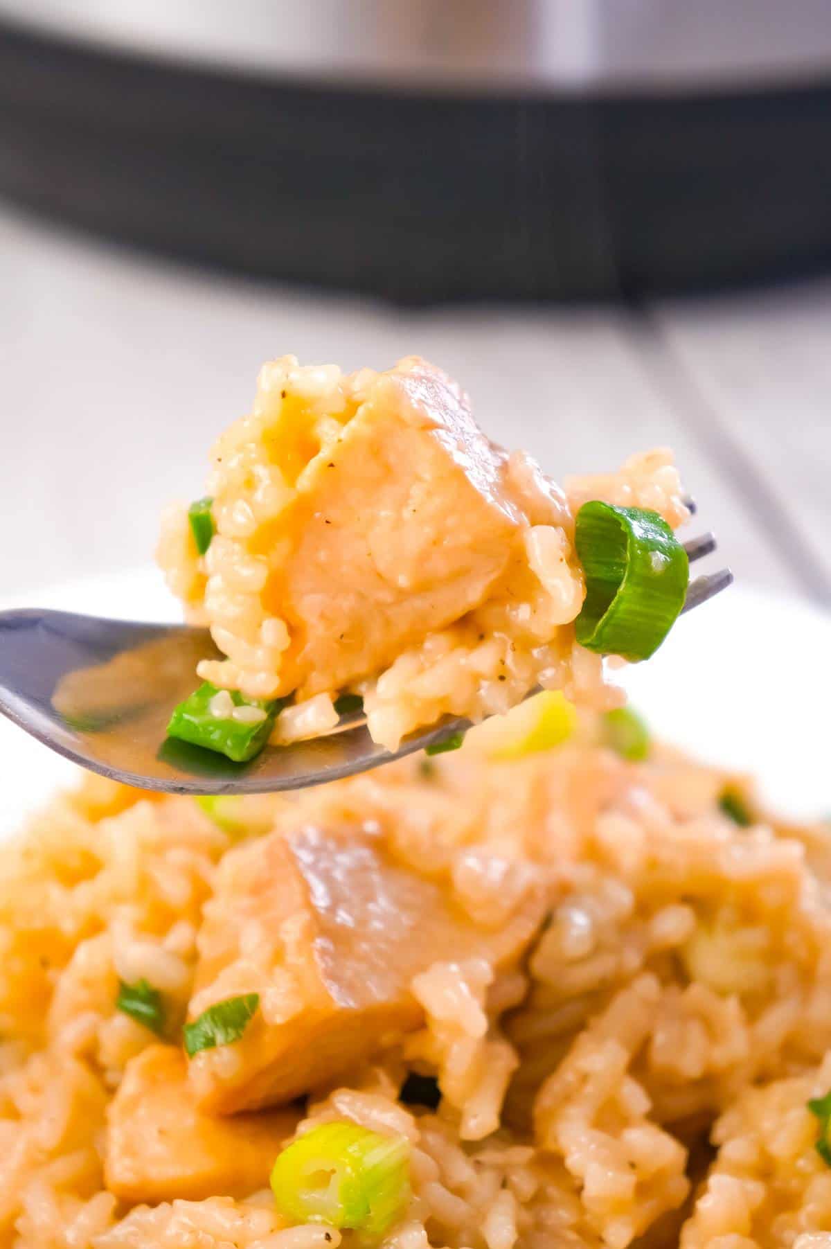 Instant Pot Honey Garlic Chicken and Rice is an easy pressure cooker rice dish loaded with chunks of chicken breast and a delicious sweet and savoury honey garlic sauce.