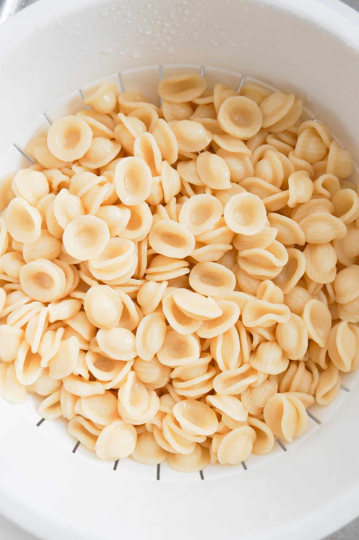 cooked orecchiette noodles in a strainer