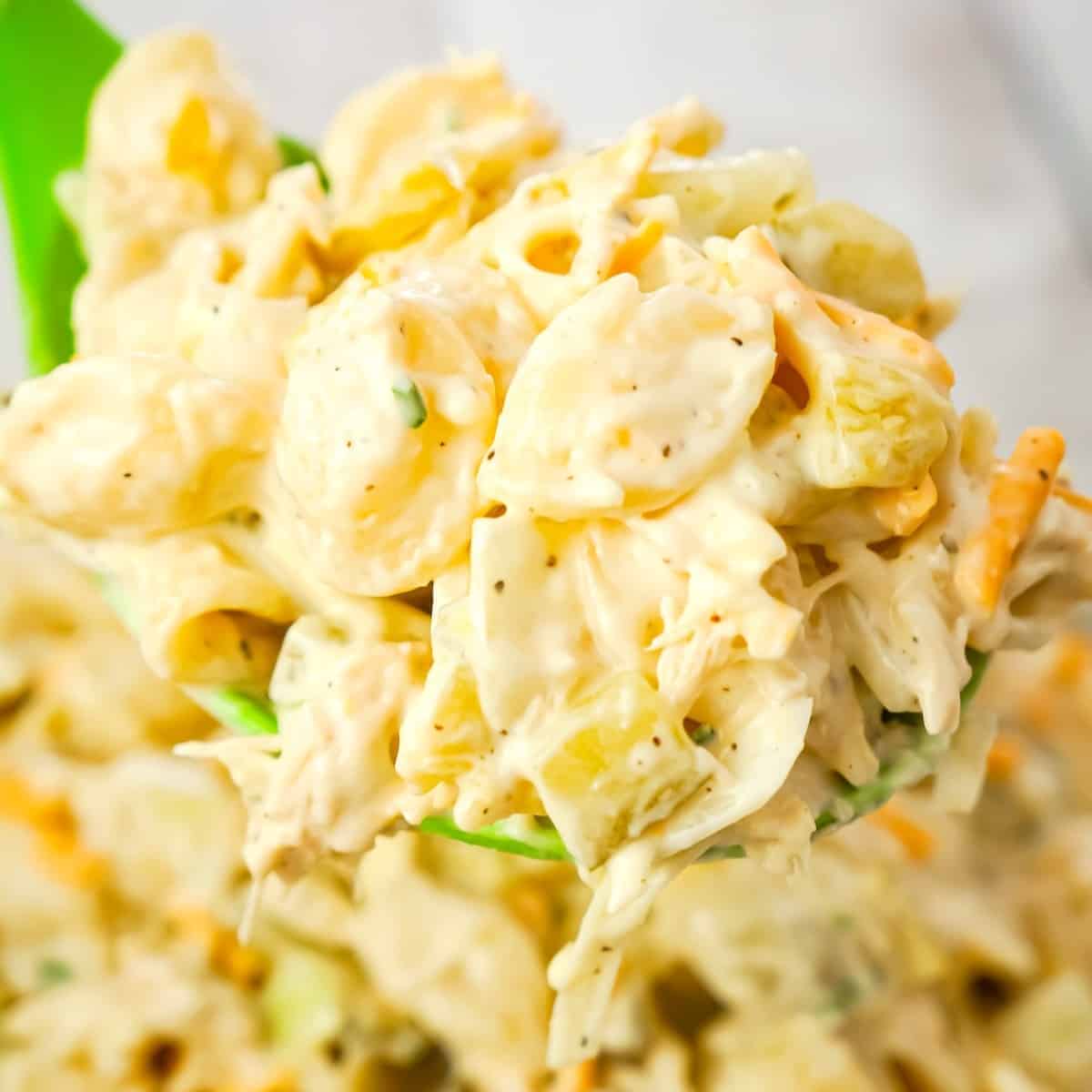 Dill Pickle Chicken Pasta Salad is a delicious cold side dish recipe loaded with shredded chicken, diced dill pickles, mayo, ranch dressing and shredded cheese.