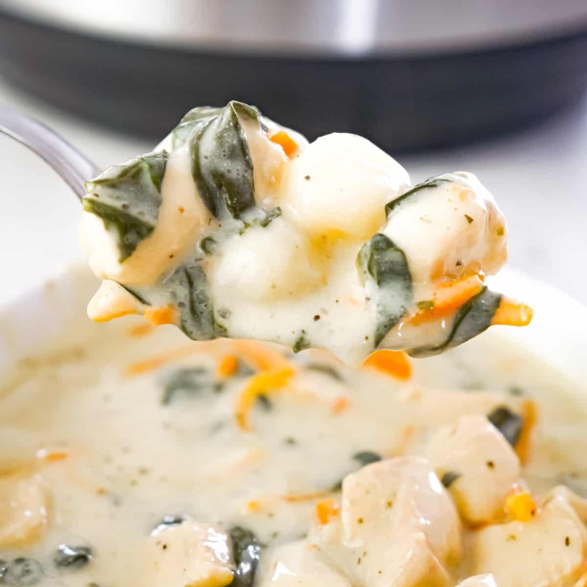 Instant Pot Chicken Gnocchi Soup is a hearty soup recipe loaded with chunks of chicken breast, potato gnocchi, carrots and shredded spinach.