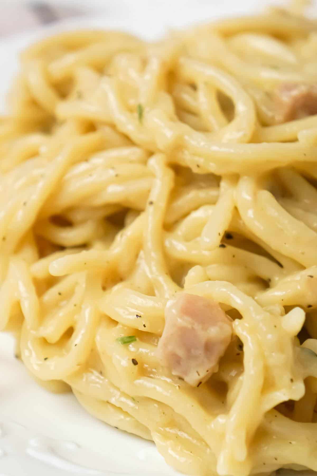 One Pot Chicken Spaghetti is an easy dinner recipe using just spaghetti noodles, condensed cream of chicken soup and spices.