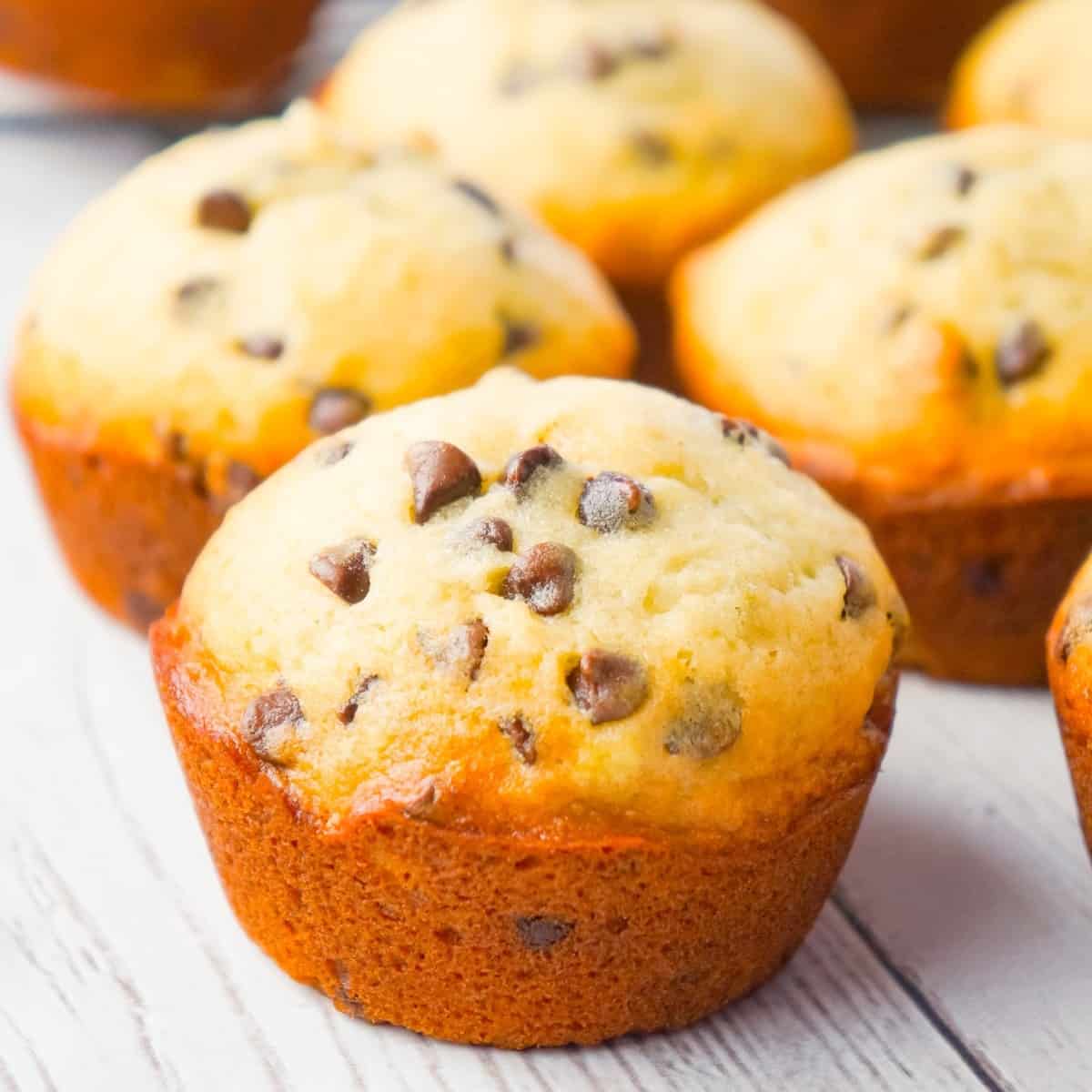 Chocolate Chip Banana Muffins are an easy breakfast or snack recipe made from ripe bananas and loaded with mini semi sweet chocolate chips.