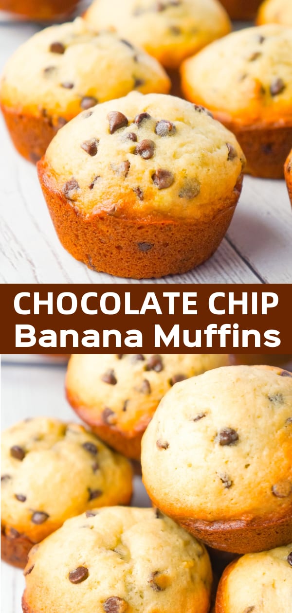 Chocolate Chip Banana Muffins are an easy breakfast or snack recipe made from ripe bananas and loaded with mini semi sweet chocolate chips.