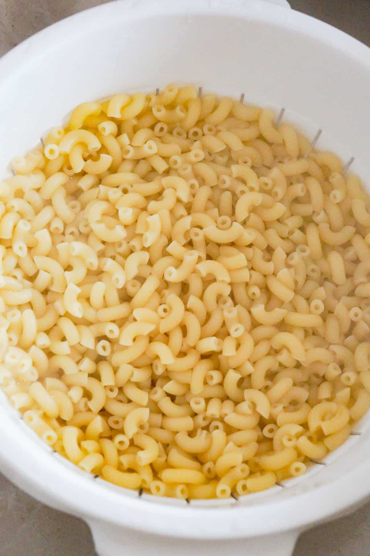 cooked macaroni noodles in strainer