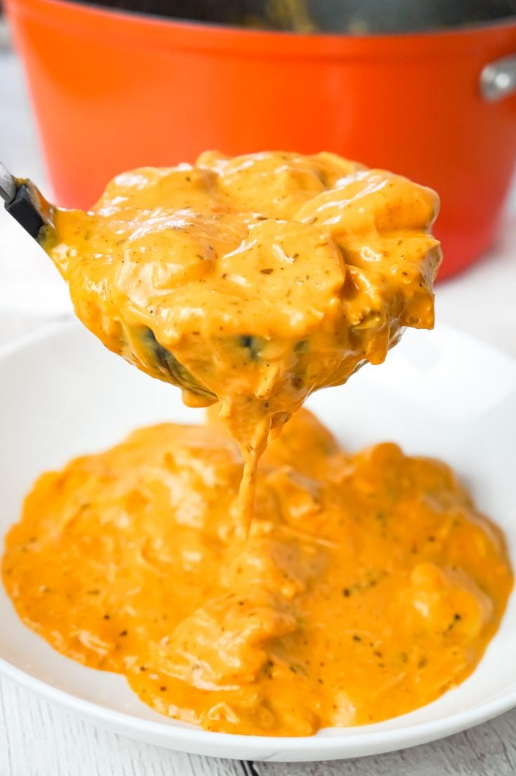 Tomato Basil Chicken and Dumplings THIS IS NOT DIET FOOD