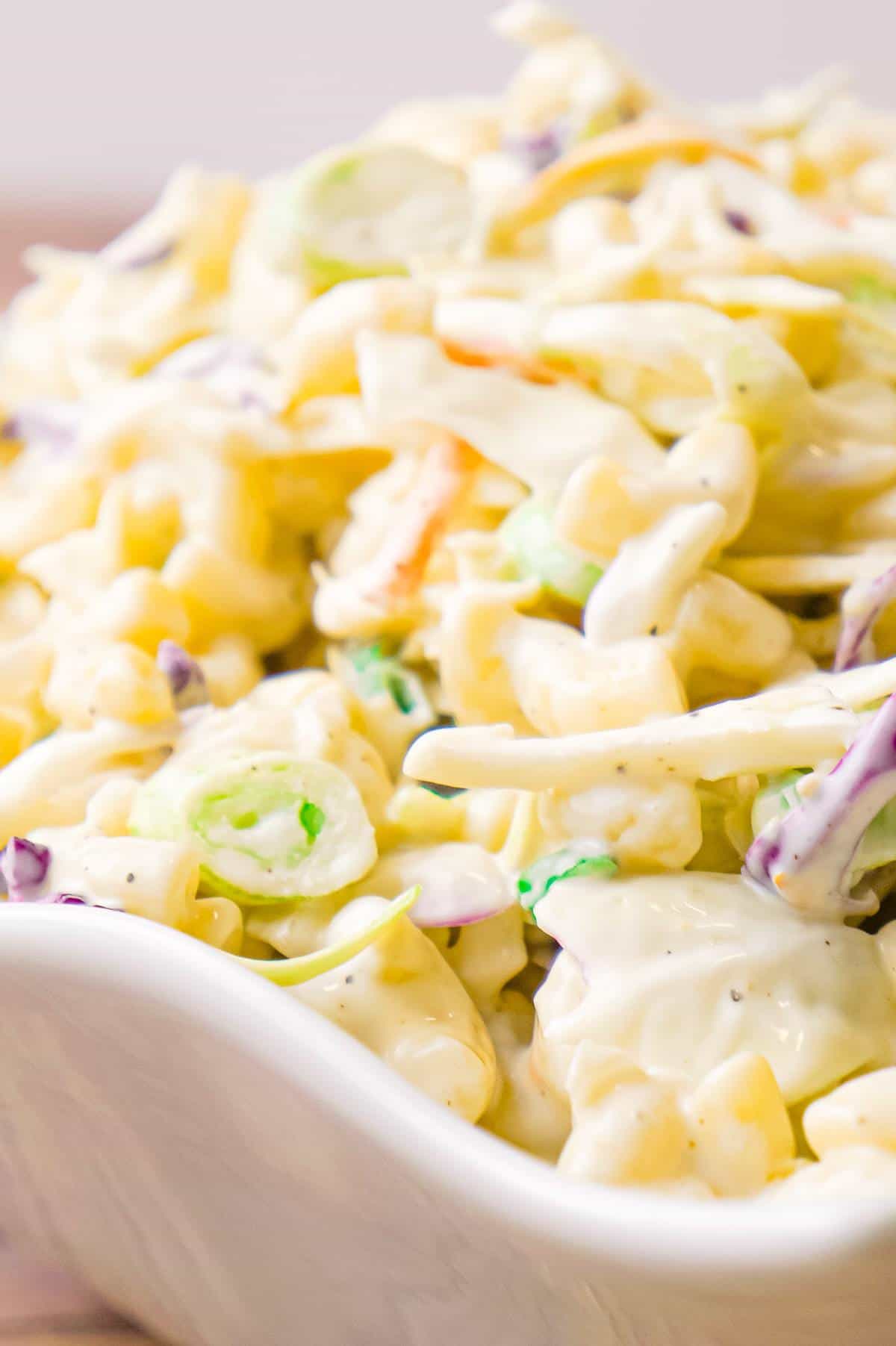 Coleslaw Macaroni Salad is a simple cold side dish recipe perfect for summer barbecues and potlucks.