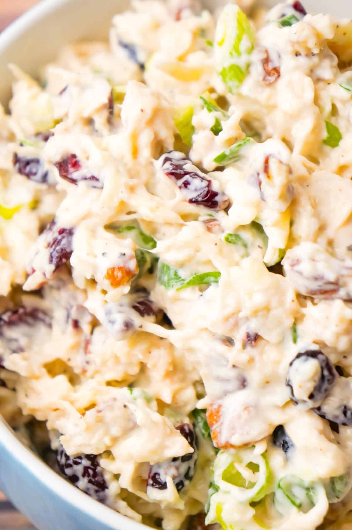 Chicken Salad with Cranberries is an easy cold lunch or dinner recipe using canned chicken and loaded with dried cranberries, chopped green onions, pecan pieces and shredded mozzarella cheese.