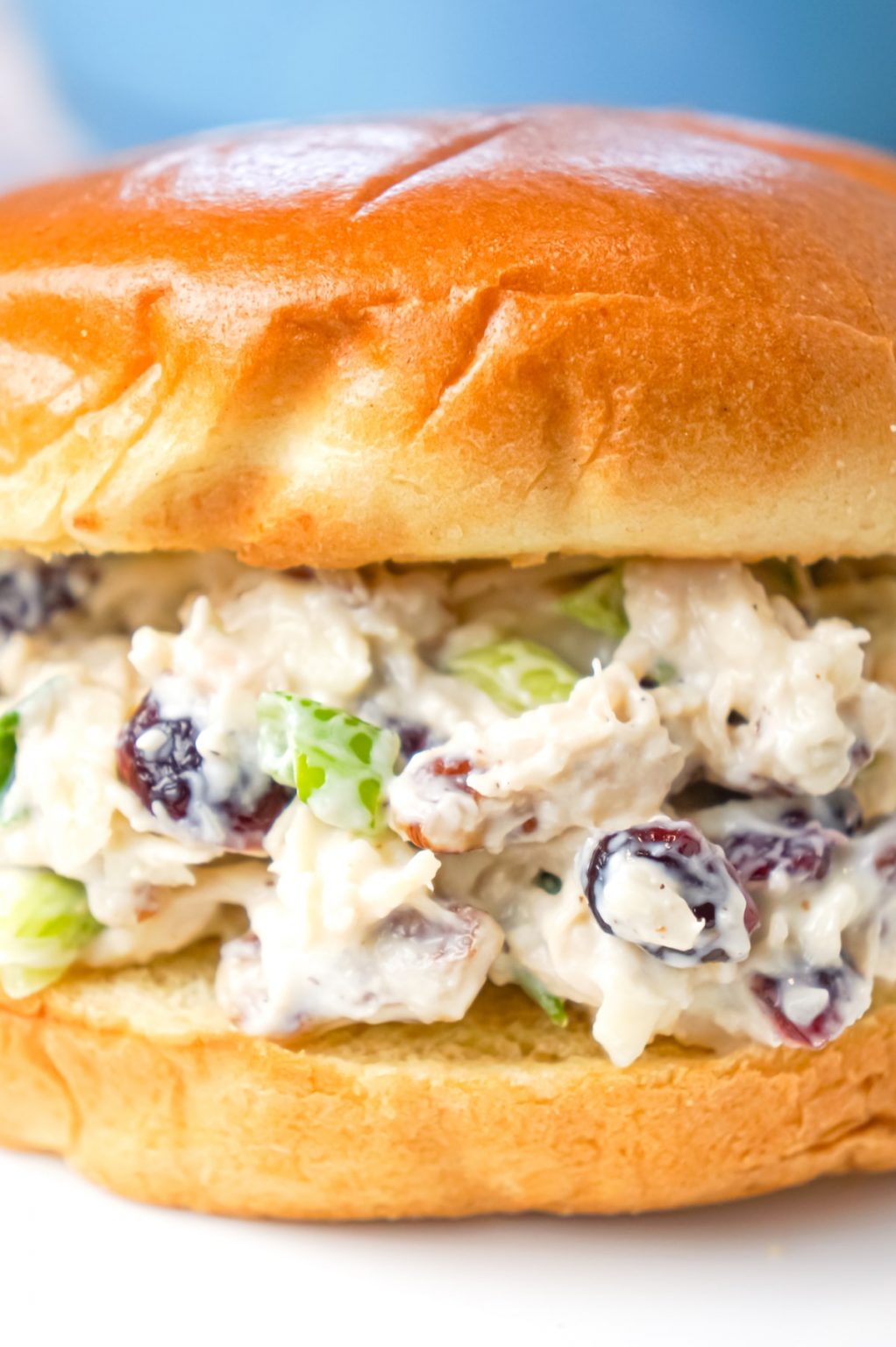 Chicken Salad with Cranberries THIS IS NOT DIET FOOD