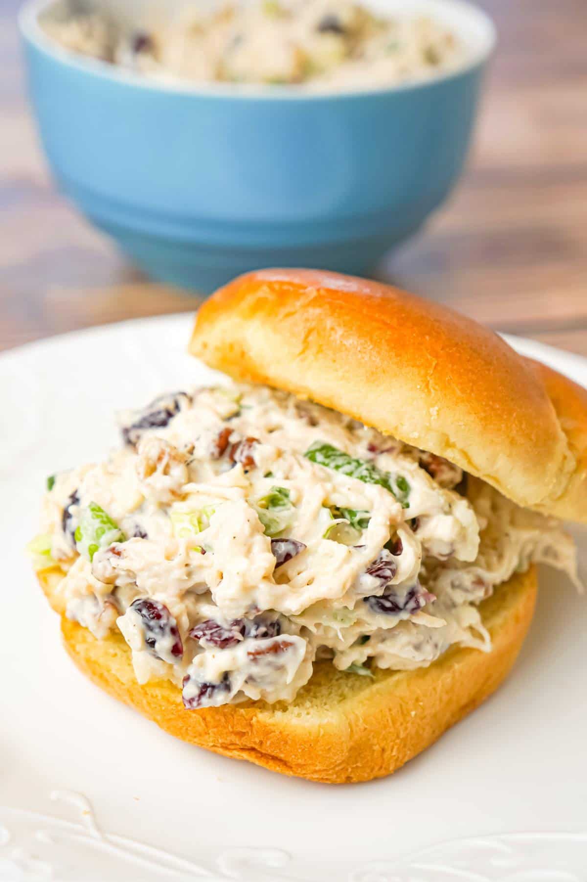 Chicken Salad with Cranberries is an easy cold lunch or dinner recipe using canned chicken and loaded with dried cranberries, chopped green onions, pecan pieces and shredded mozzarella cheese.