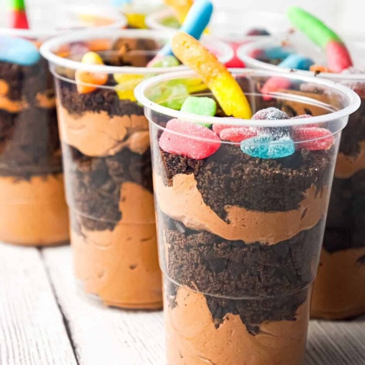 Dirt Pudding is an easy no bake dessert recipe with layers of chocolate pudding, cool whip and chocolate cookie crumble and topped with gummy worms and spiders.