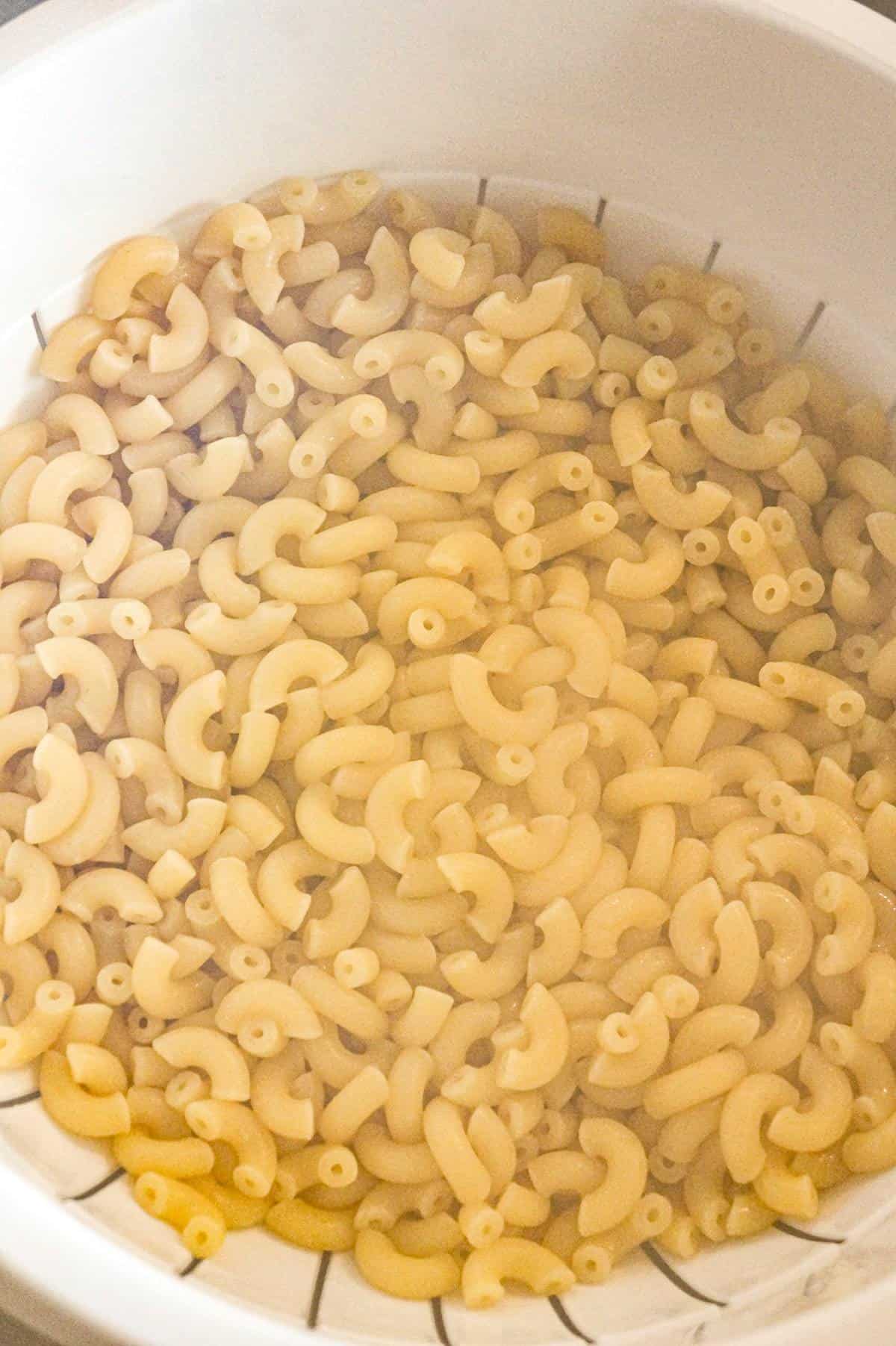 cooked macaroni noodles in a strainer