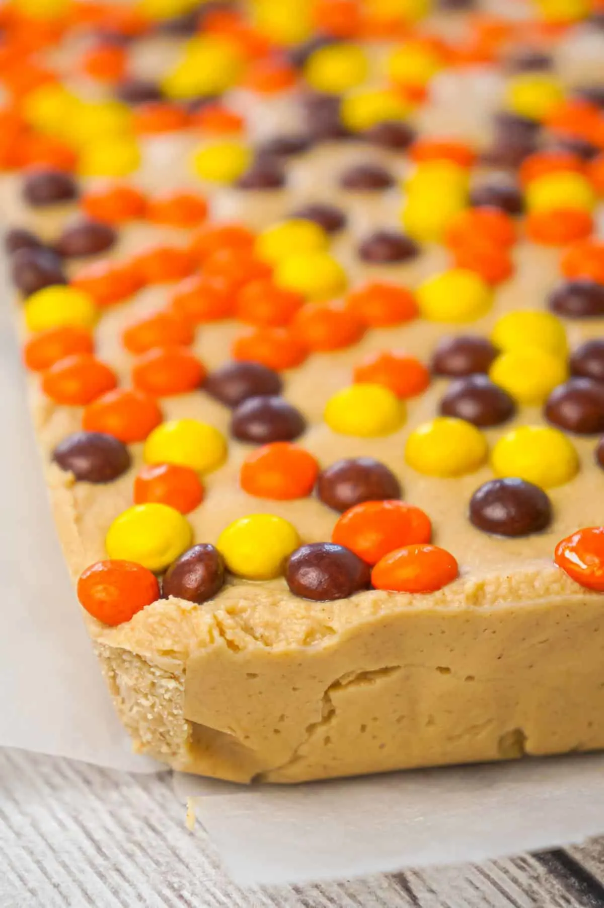 Peanut Butter Cup Fudge is an easy microwave fudge recipe made with vanilla frosting, peanut butter baking chips, smooth peanut butter and loaded with mini Reese's peanut butter cups and mini Reese's pieces.