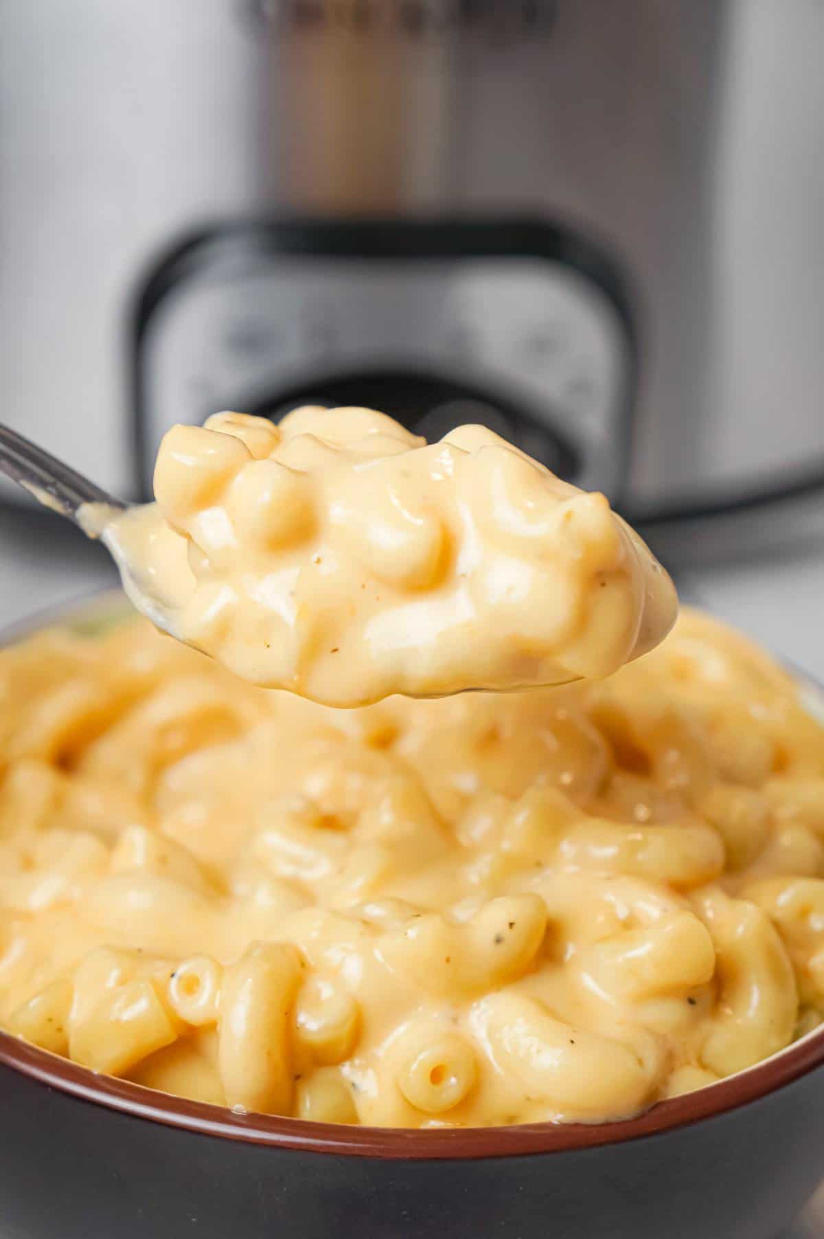 easy crock pot mac and cheese