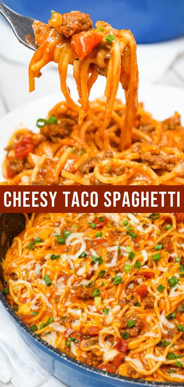 Cheesy Taco Spaghetti is an easy weeknight dinner recipe loaded with ground beef, Rotel diced tomatoes and chilies, green onions and shredded cheese all tossed in taco seasoning and tomato sauce.