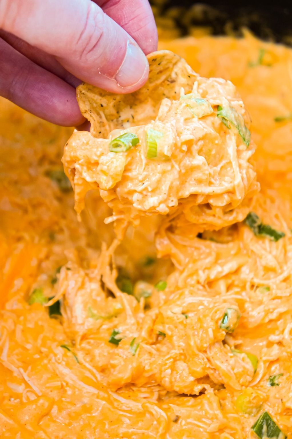 crockpot buffalo chicken dip recipe crockpot buffalo chicken dip recipe