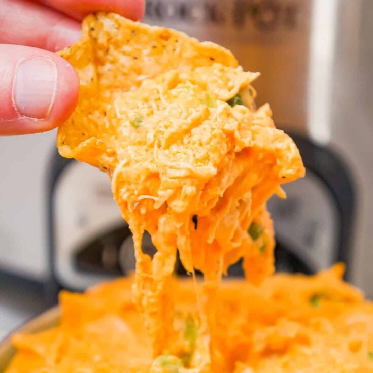 Crock Pot Buffalo Chicken Dip