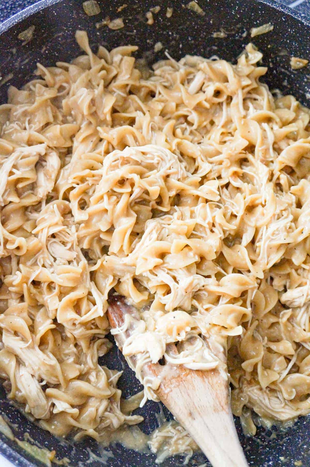 chicken and egg noodles in a pot