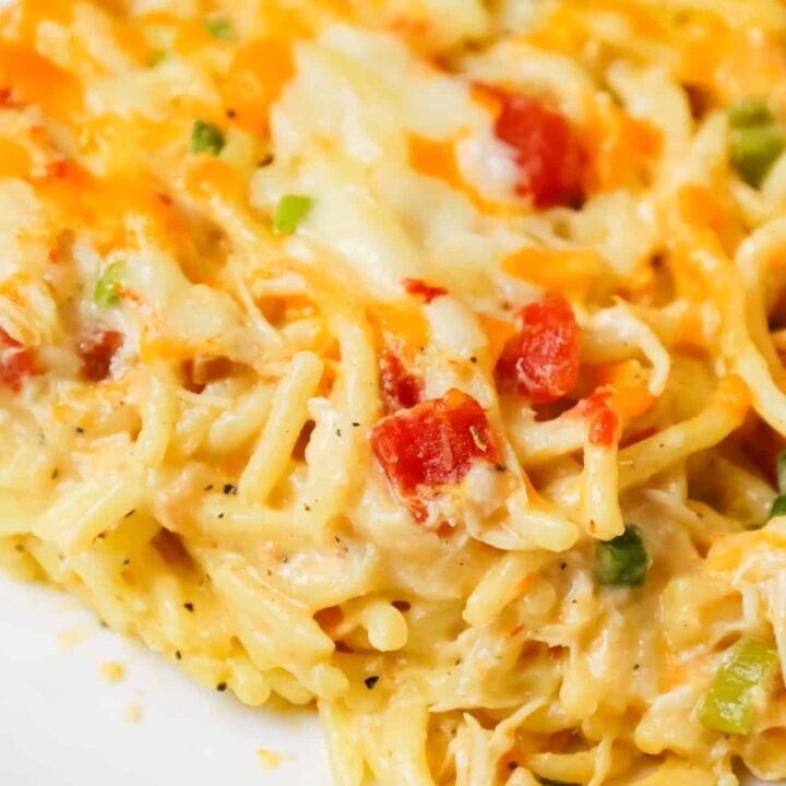 Chicken Spaghetti with Rotel is a delicious baked spaghetti recipe with a creamy sauce loaded with shredded chicken, Rotel diced tomatoes and green chilies, shredded cheese and chopped green onions.