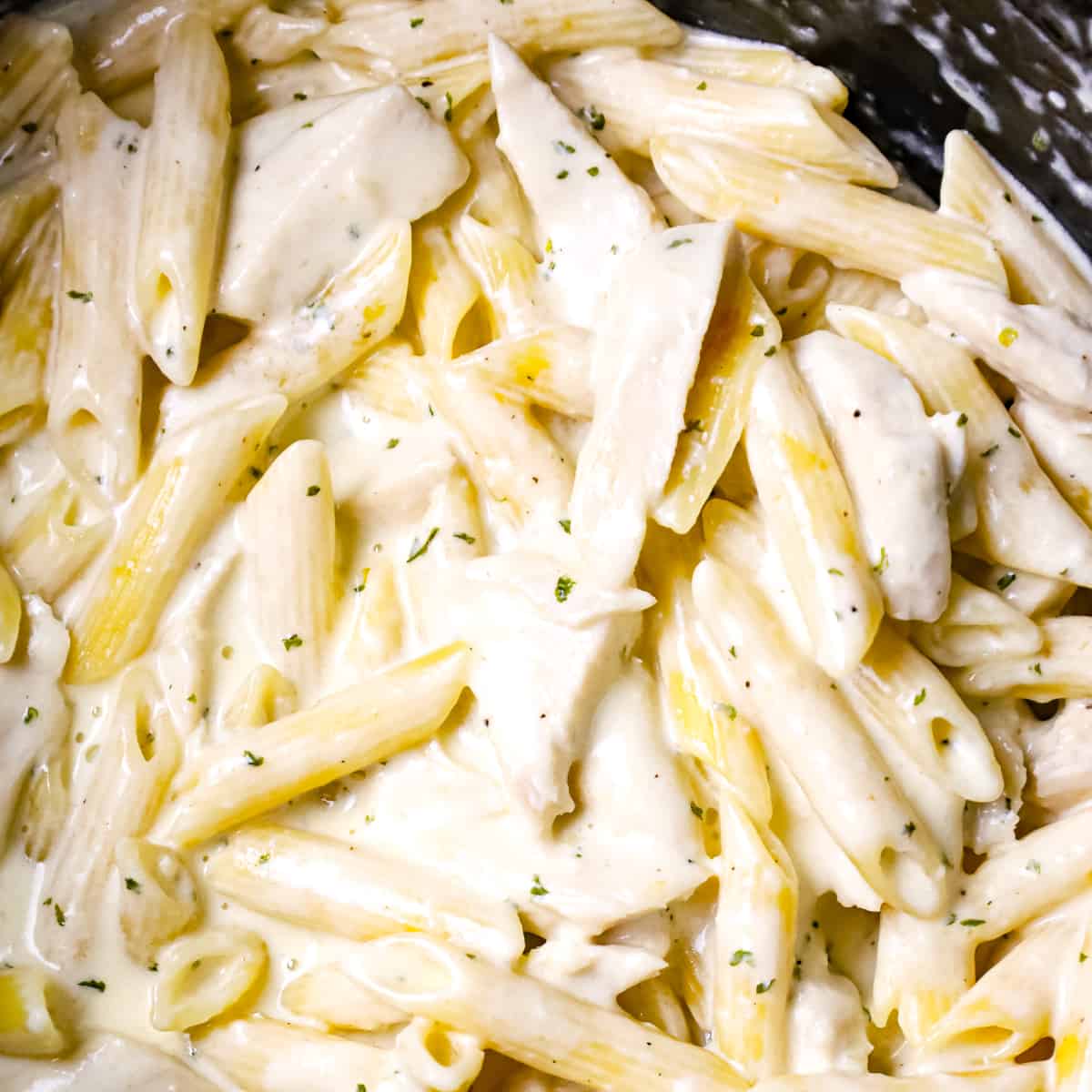 Crock Pot Chicken Alfredo is a delicious slow cooker penne pasta recipe loaded with chunks boneless, skinless chicken breasts and all tossed in a creamy garlic and parmesan sauce.