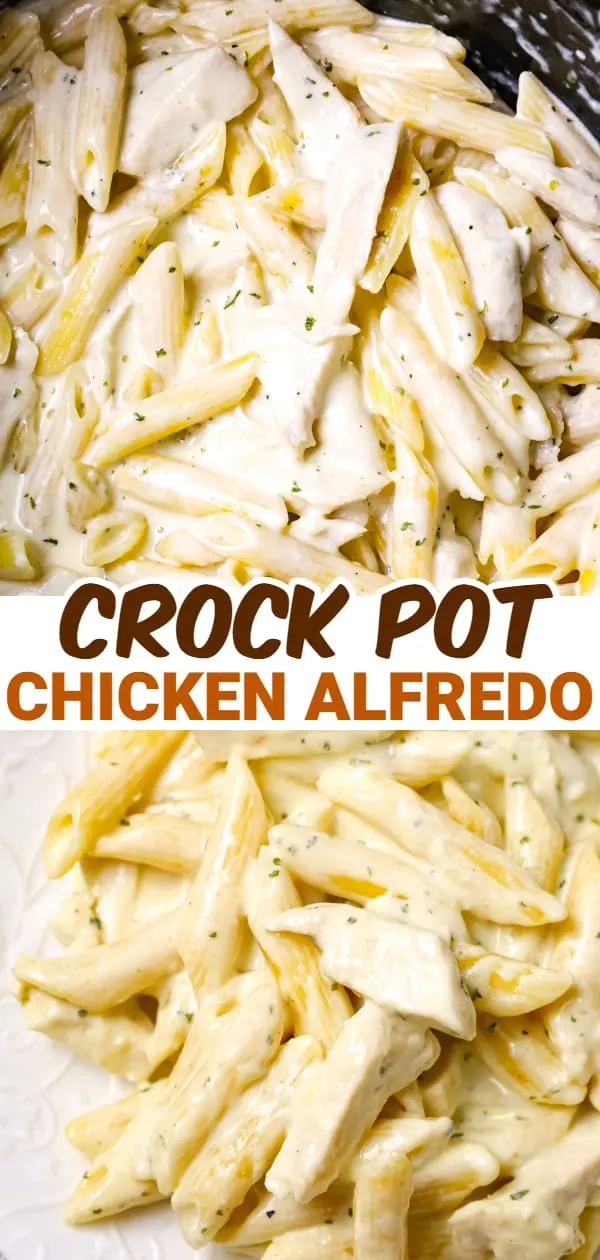 Crock Pot Chicken Alfredo is a delicious slow cooker penne pasta recipe loaded with chunks boneless, skinless chicken breasts and all tossed in a creamy garlic and parmesan sauce.