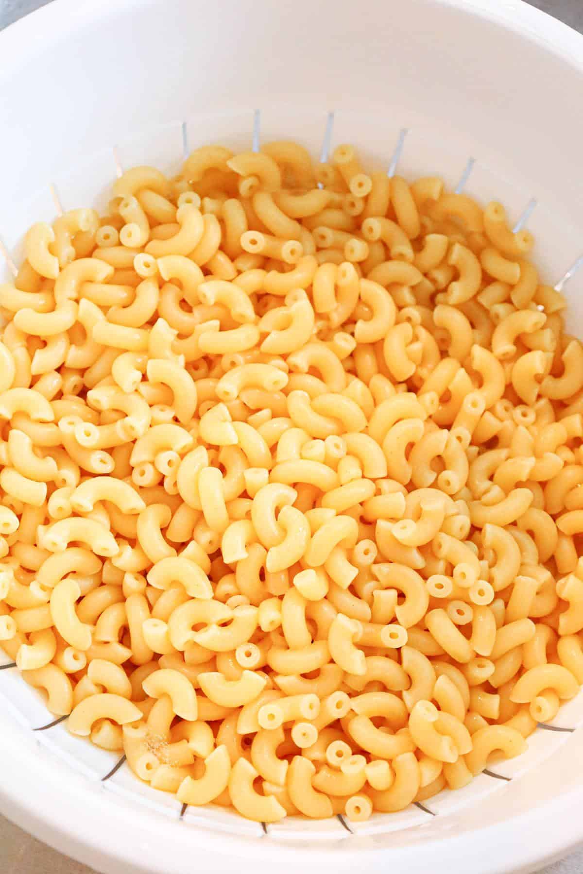 cooked macaroni noodles in a colander