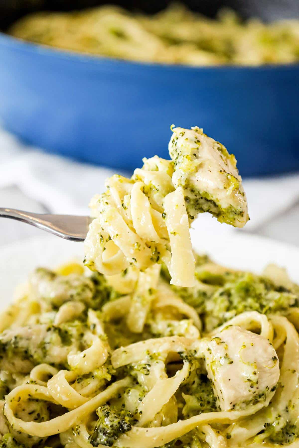 Chicken Broccoli Alfredo is a creamy garlic pasta dish loaded with chicken breast chunks, broccoli and parmesan cheese.