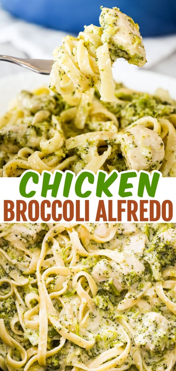 Chicken Broccoli Alfredo is a creamy garlic pasta dish loaded with chicken breast chunks, broccoli and parmesan cheese.