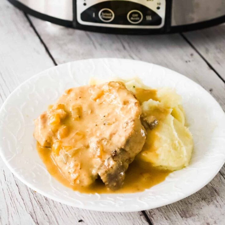 cream of mushroom pork chops crock pot cream of mushroom pork chops crock pot